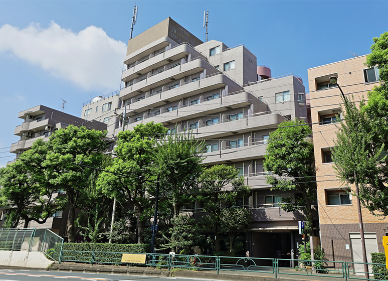 外観
