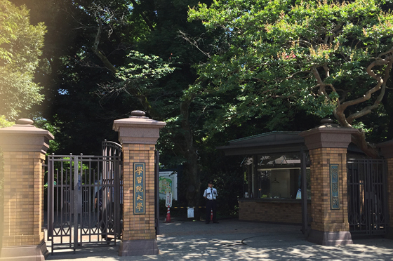 学習院大学(目白キャンパス)特集