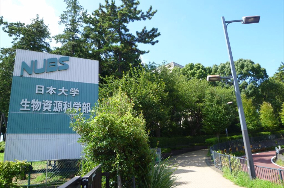 日本大学(生物資源科学部 湘南キャンパス)特集