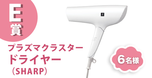 E賞、プラズマクラスタードライヤー（SHARP）